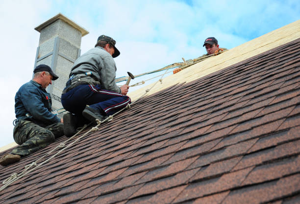 Best Storm Damage Roof Repair  in Black Jack, MO